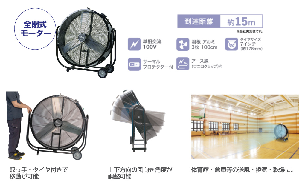 ビッグファン